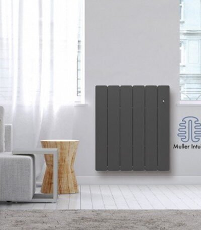 Radiateur Fonte NOIROT BELADOO 1000W horizontal gris anthracite connecté NEN1683SEHS