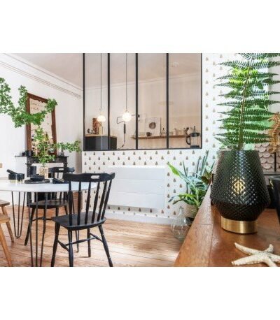 Radiateur Fonte INTUIS AXOO horizontal  connecté