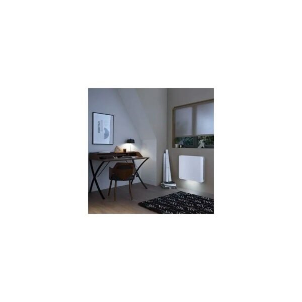 Radiateur Fonte INTUIS DOOK horizontal connecté