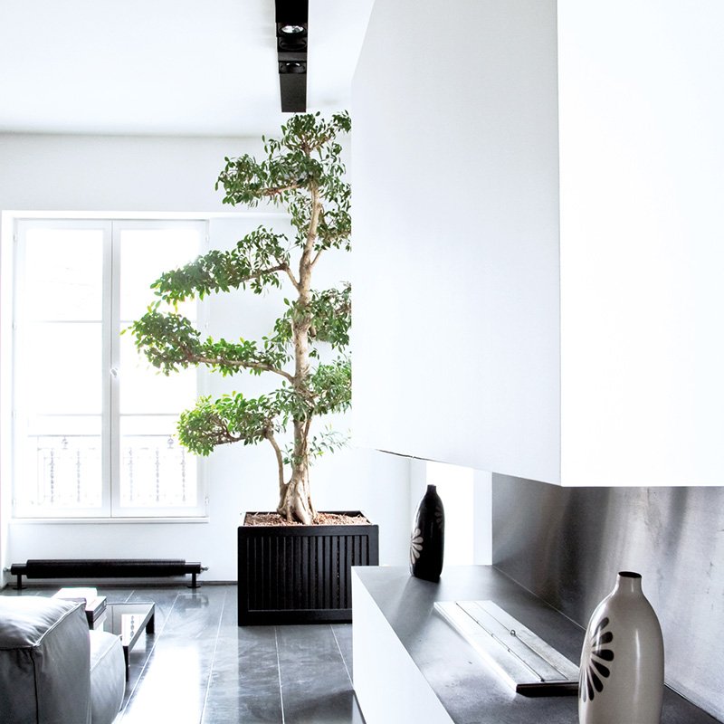 Radiateur design VD4608 eau chaude – Varela design – Image 3